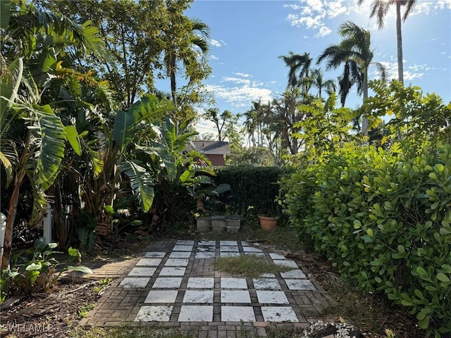 view of yard with a patio area