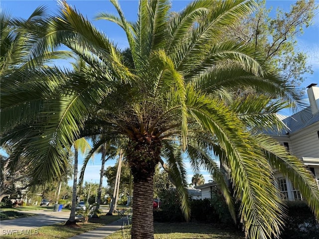 view of surrounding community