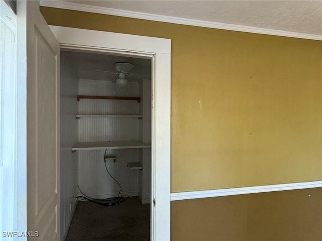 bathroom featuring crown molding and ceiling fan