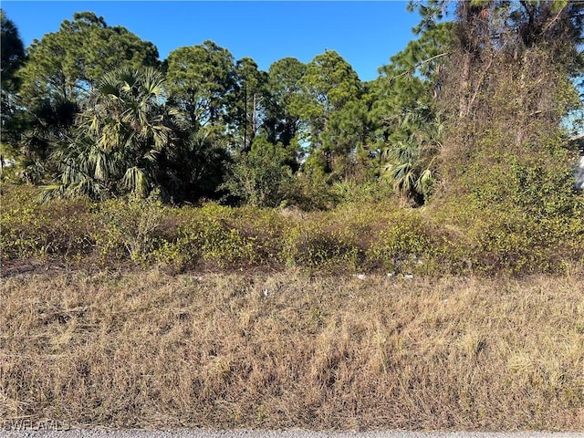 2910 19th St SW, Lehigh Acres FL, 33976 land for sale