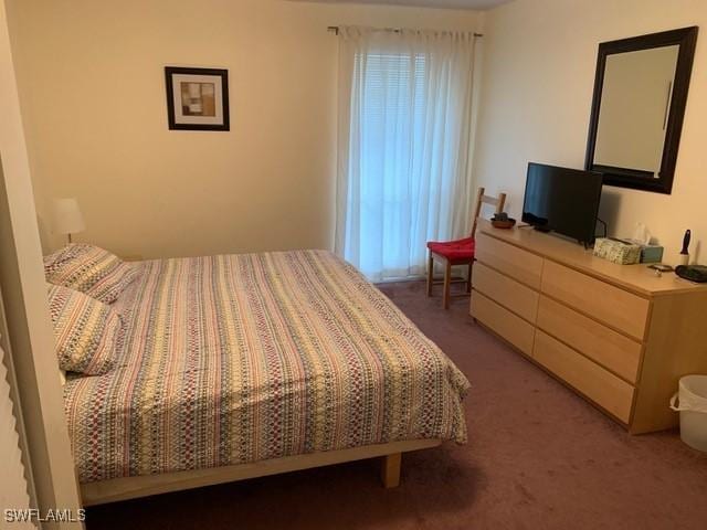 carpeted bedroom with multiple windows