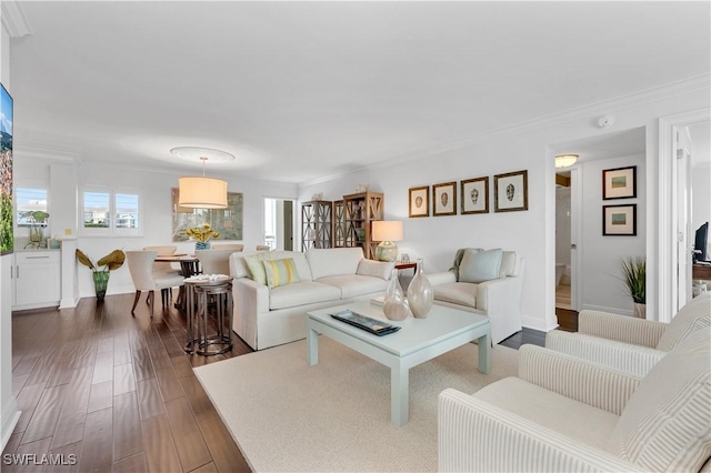 living room featuring crown molding and dark wood-type flooring