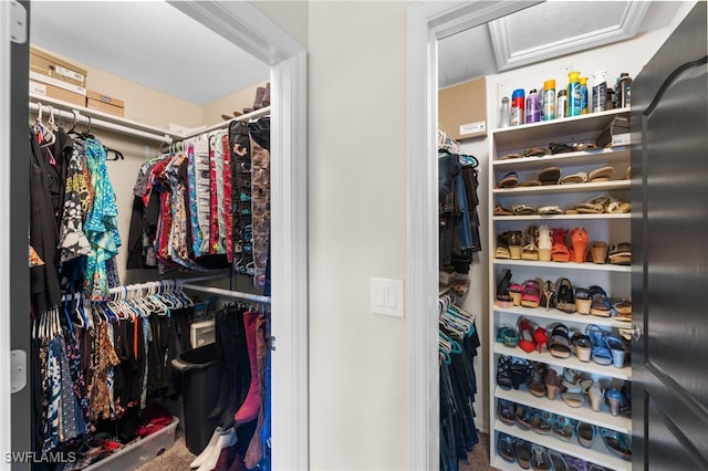 spacious closet featuring carpet