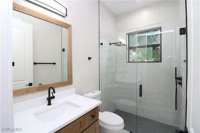 bathroom with vanity, a shower with door, and toilet