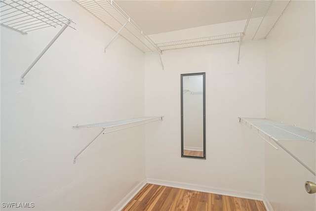 spacious closet with hardwood / wood-style flooring