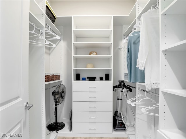 view of walk in closet