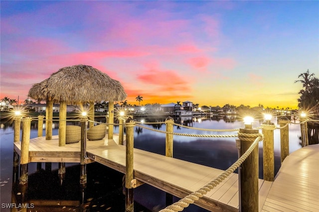 dock area with a water view