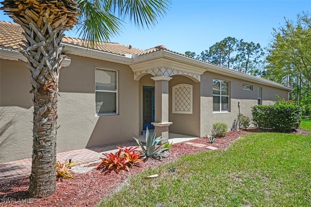 view of front of property featuring stucco siding and a front lawn