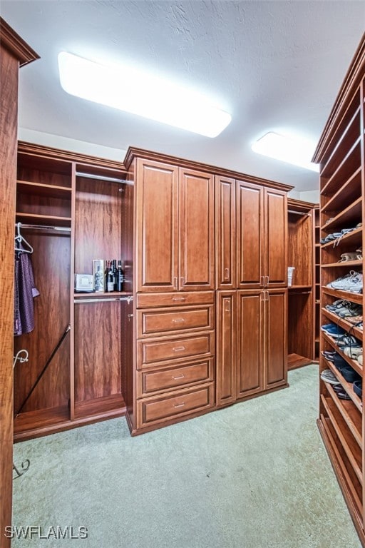 spacious closet with light colored carpet