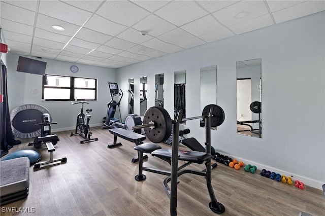 exercise room featuring hardwood / wood-style flooring and a paneled ceiling