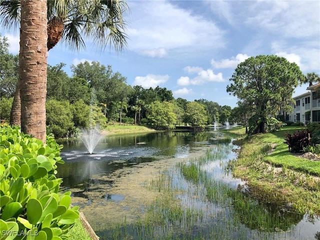 water view