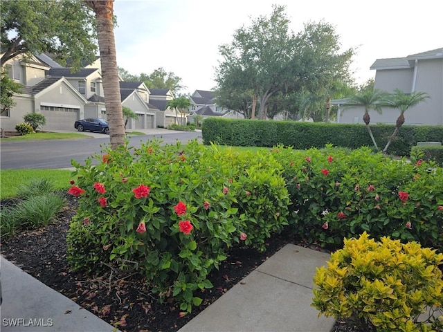 12051 Champions Green Way Unit 322, Fort Myers, FL 33913 - view of yard featuring a residential view