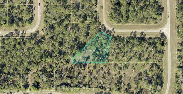 307 Nagle Ct, Lehigh Acres FL, 33972 land for sale