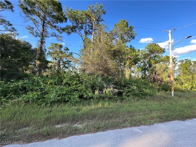 715 Devon St, Lehigh Acres FL, 33974 land for sale