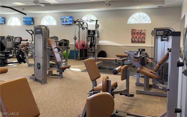 gym featuring carpet floors and ceiling fan