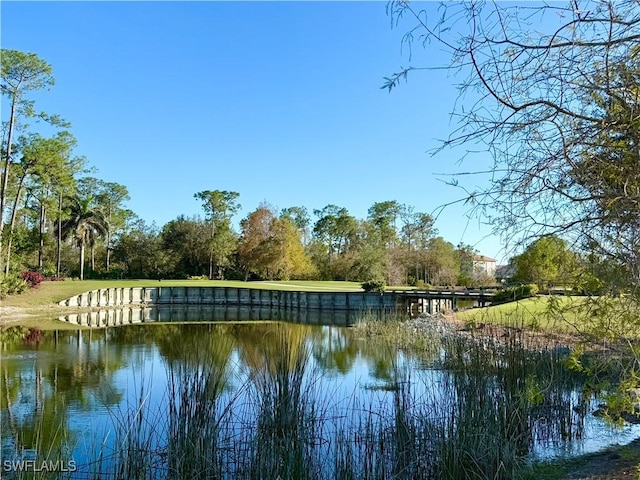 water view