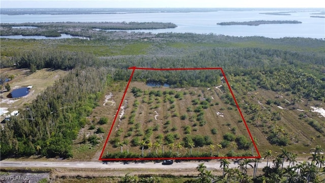 13660 Ficus Tree Ln, Bokeelia FL, 33922 land for sale