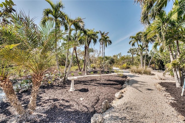 3025 Turtle Gait Ln, Sanibel, FL 33957 - view of yard