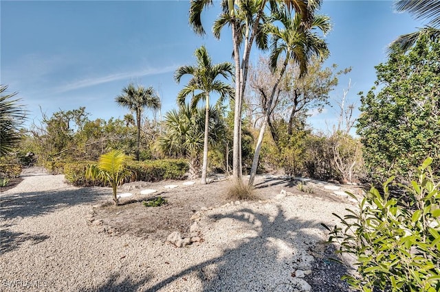 3025 Turtle Gait Ln, Sanibel, FL 33957 - view of local wilderness