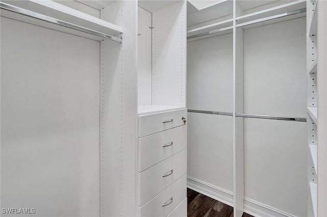 spacious closet featuring dark hardwood / wood-style floors