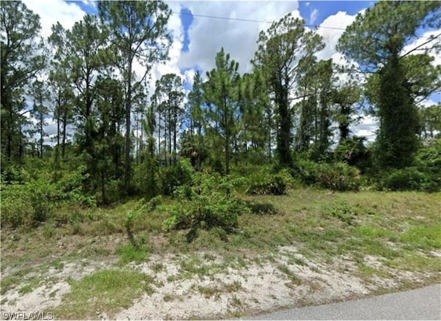 17350 1st St, North Fort Myers FL, 33917 land for sale