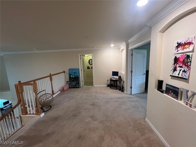 hall featuring crown molding and carpet floors