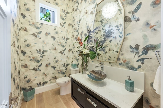 bathroom with hardwood / wood-style flooring, vanity, and toilet