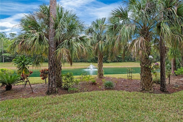 surrounding community featuring a water view and a yard