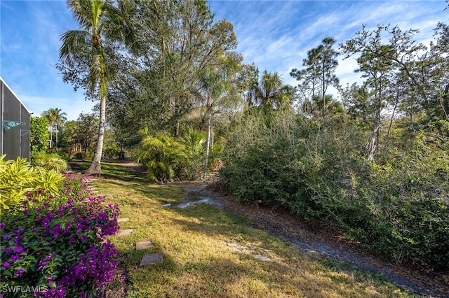 view of yard featuring a lanai