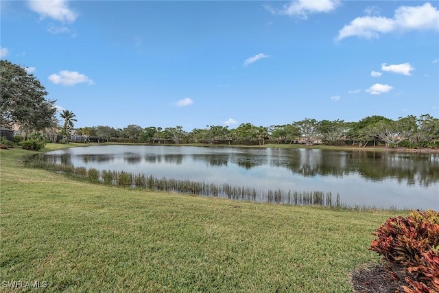 8469 Mallards Way, Naples, FL 34114 - water view