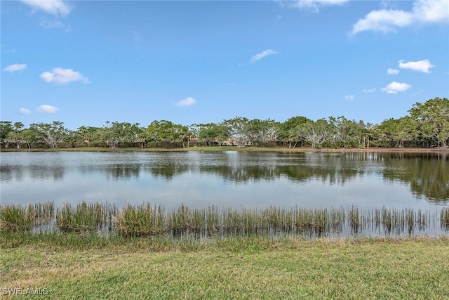 8469 Mallards Way, Naples, FL 34114 - water view