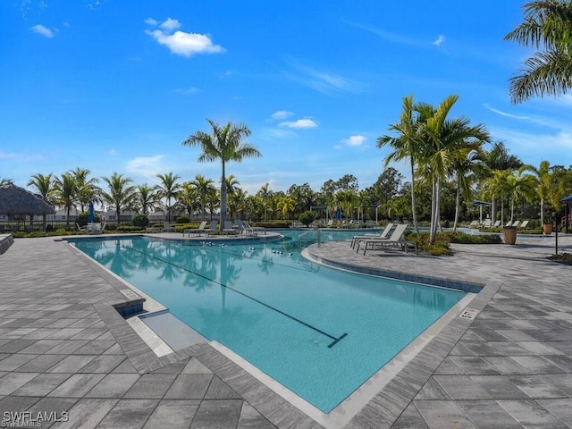 view of swimming pool with a patio