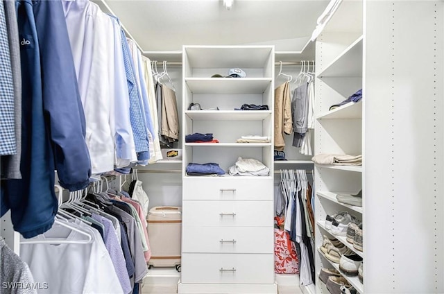 view of spacious closet