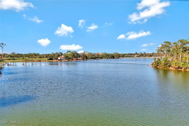 property view of water