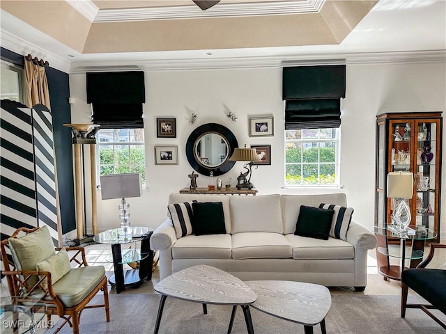 living area featuring a raised ceiling, ornamental molding, and a wealth of natural light