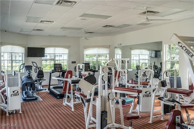 exercise room featuring a drop ceiling, ceiling fan, and carpet flooring