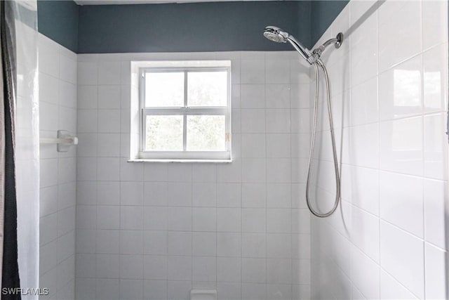 bathroom with a shower with curtain