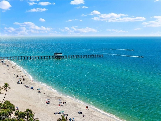 water view with a view of the beach