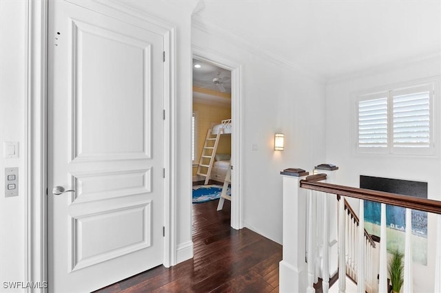 hall with crown molding and dark hardwood / wood-style floors