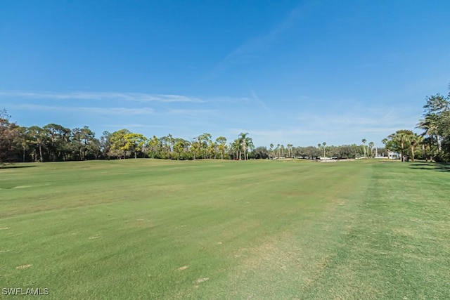 view of property's community with a yard