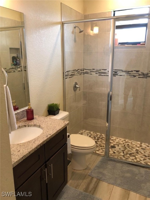 bathroom with vanity, walk in shower, and toilet