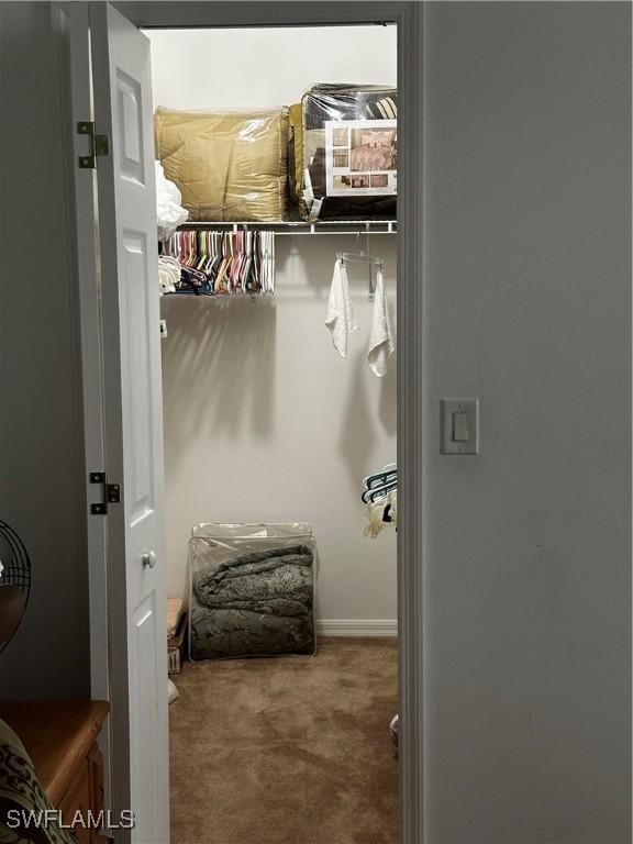 2016 SW 3rd Ter, Cape Coral, FL 33991 - spacious closet with carpet