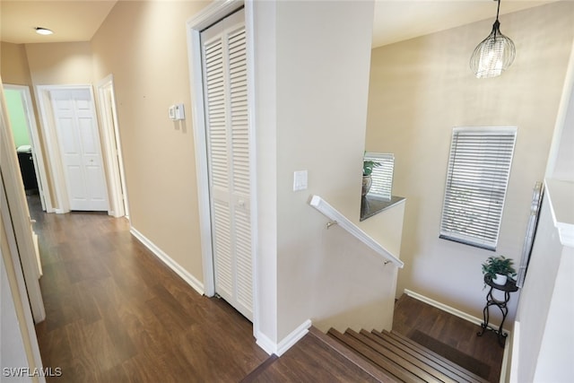 corridor with dark wood-type flooring