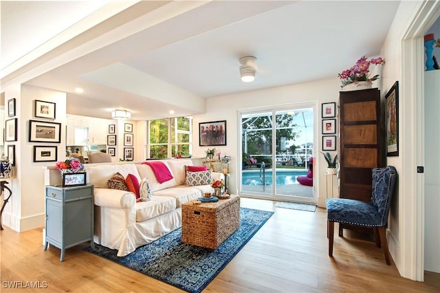 living room featuring light hardwood / wood-style floors