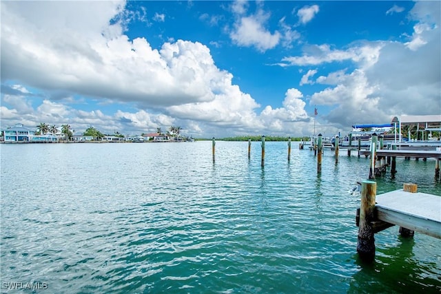 dock area with a water view