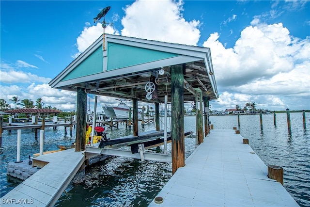 dock area with a water view