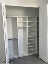 view of closet