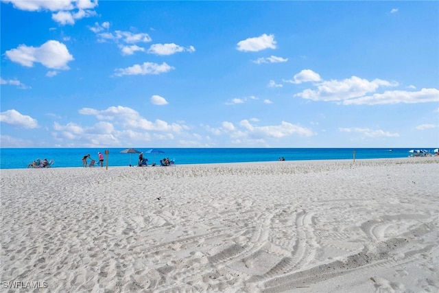 water view featuring a beach view