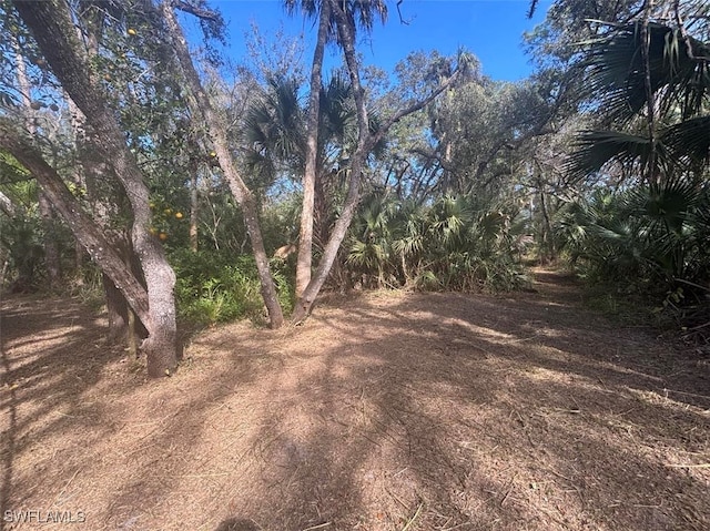 21731 Park St, Alva FL, 33920 land for sale