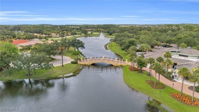 bird's eye view with a water view